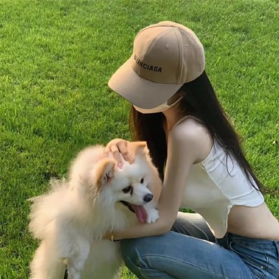 全面搜寻圣诞狗狗